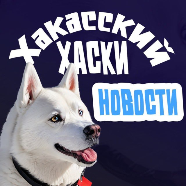 Новости | Хакасский хаски