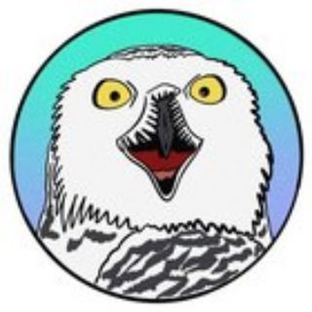 Биполярная сова 🦉 | Про зверят 🐾