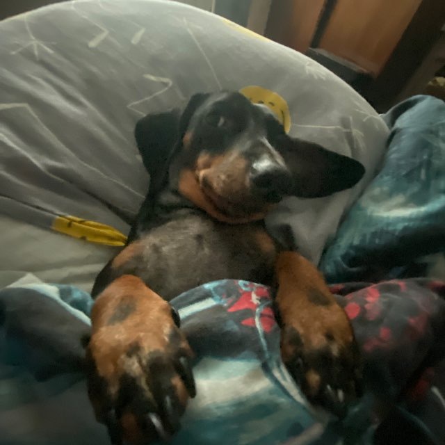Логово axel