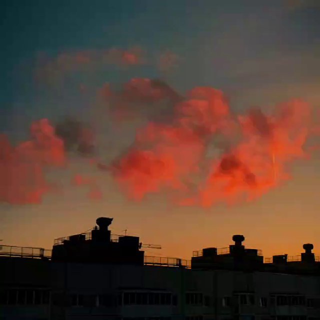 kokos_karibskiy photo