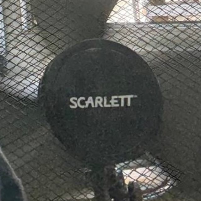 Scarlett! | Music
