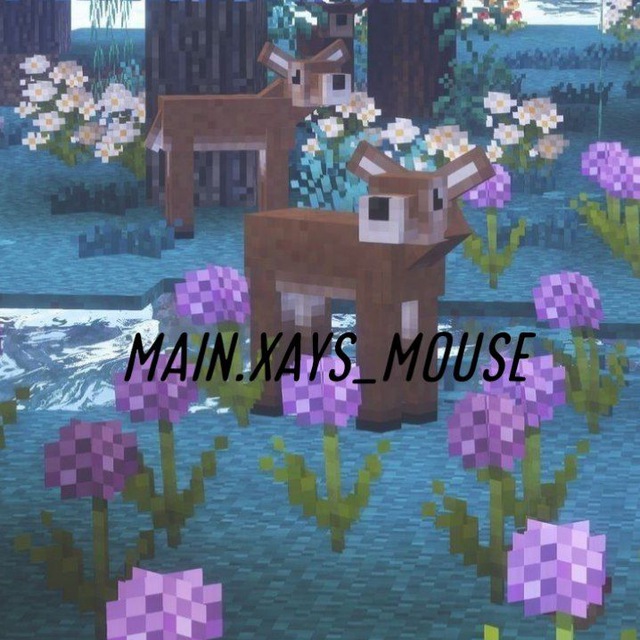 main.xays_mouse