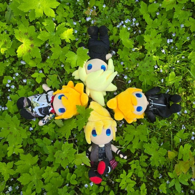 ˖Ი𐑼⋆🌿Норка🍄Скандинава🌿˖Ი𐑼⋆