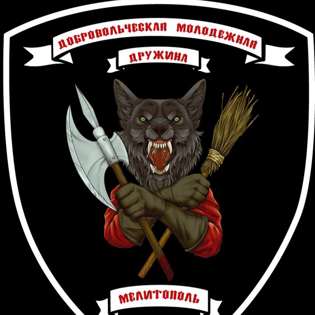 Добровольческая молодежная дружина