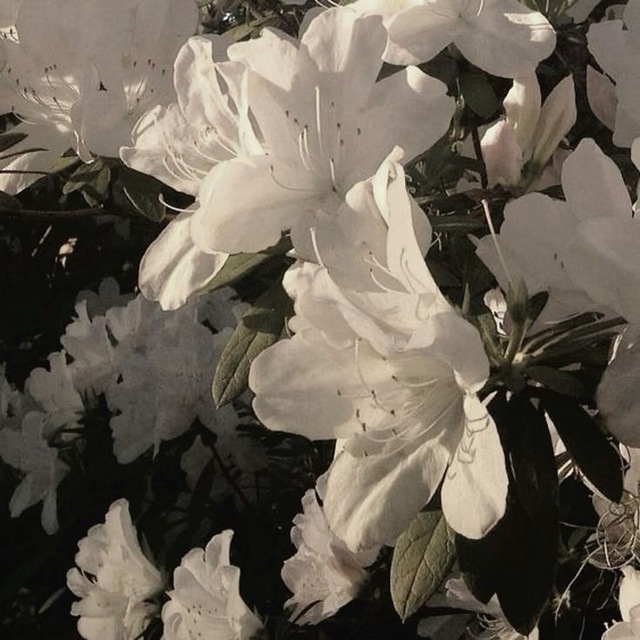 ︎︎ ︎
