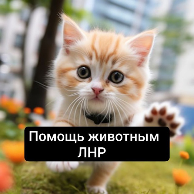 Огонёк Пушистый | Помощь животным ЛНР