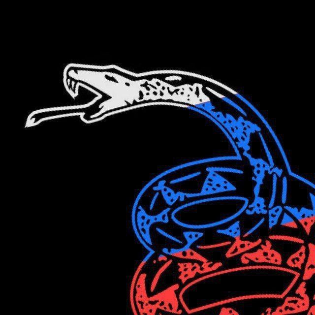 🇷🇺 РУСЛИБ🐱🐍
