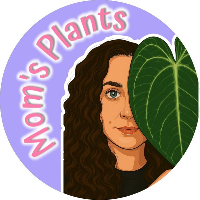 Mom's Plants 🌿