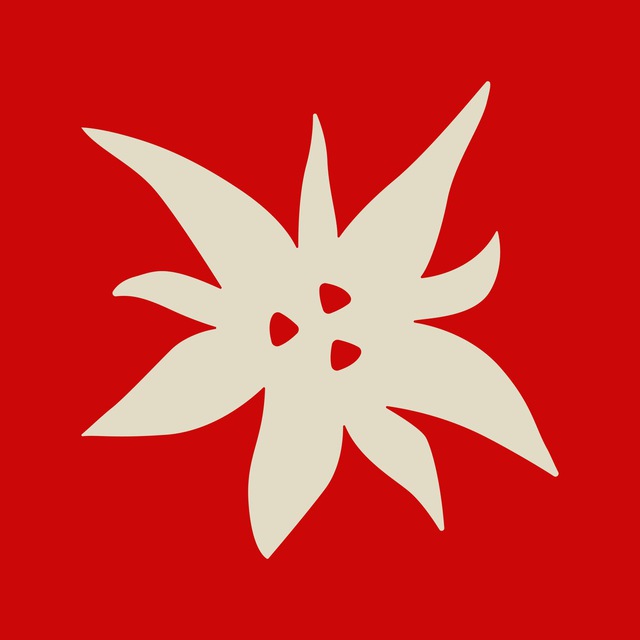 Discordspace