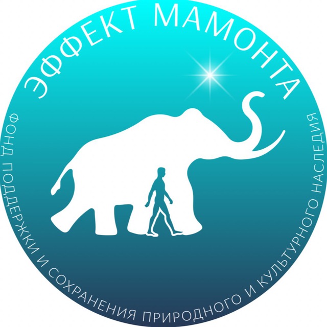 Фонд «Эффект Мамонта»