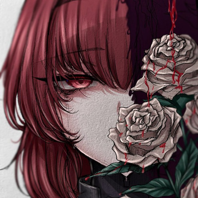 𝘝𝘦𝘳𝘢'𝘴 𝘧𝘢𝘷𝘰𝘳𝘪𝘵𝘦