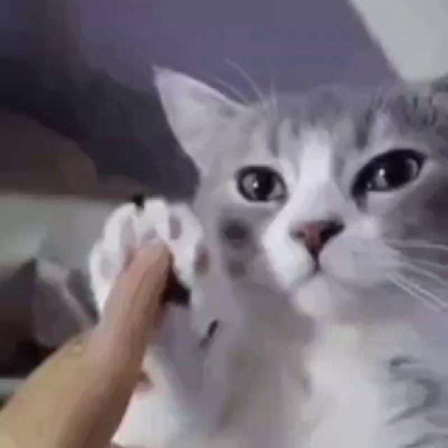 Котовое