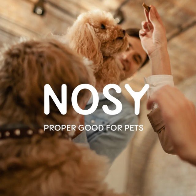 NOSY