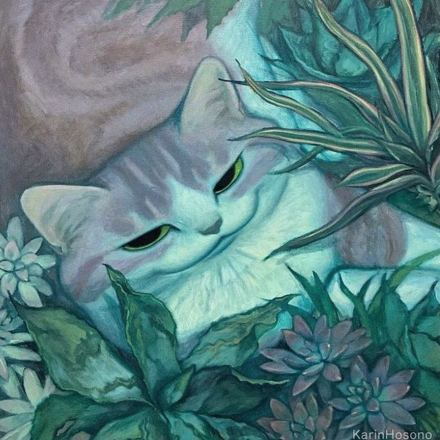 C:\Ficus