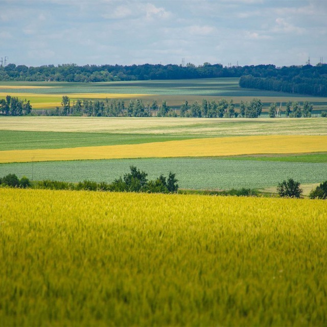 Farm in Russia