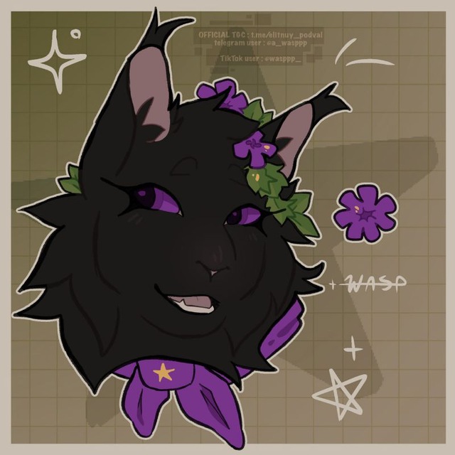 Channel|Miava's elevator💜🐈‍⬛