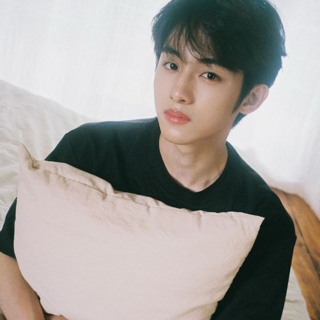 lemon sicheng