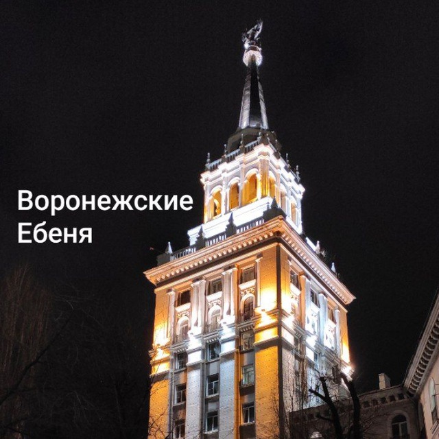 Воронежские енебя
