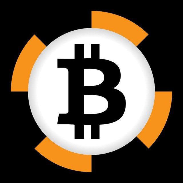Crypto-Trends English