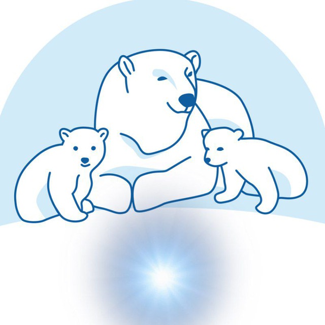 Вселенная белого медведя