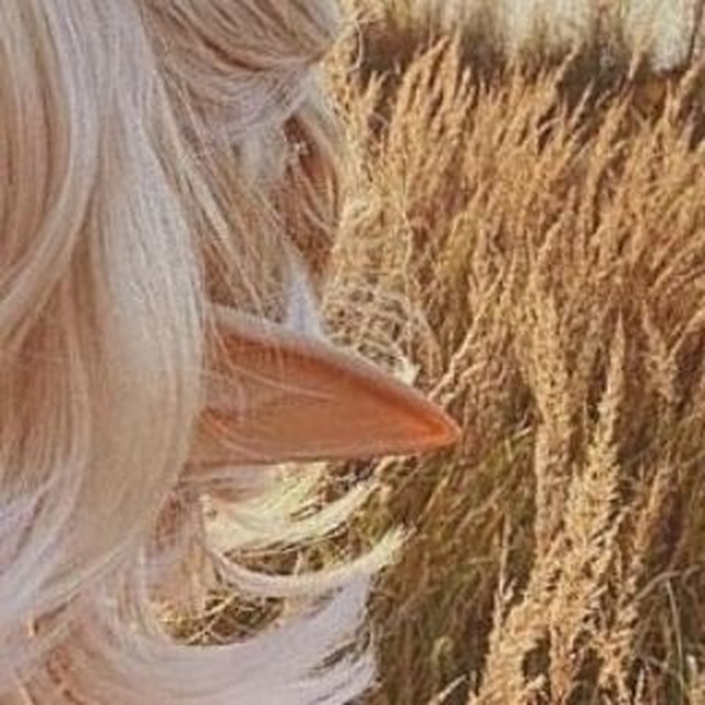 Diary of an elf | Эльфийская эстетика и новости 🌙✨