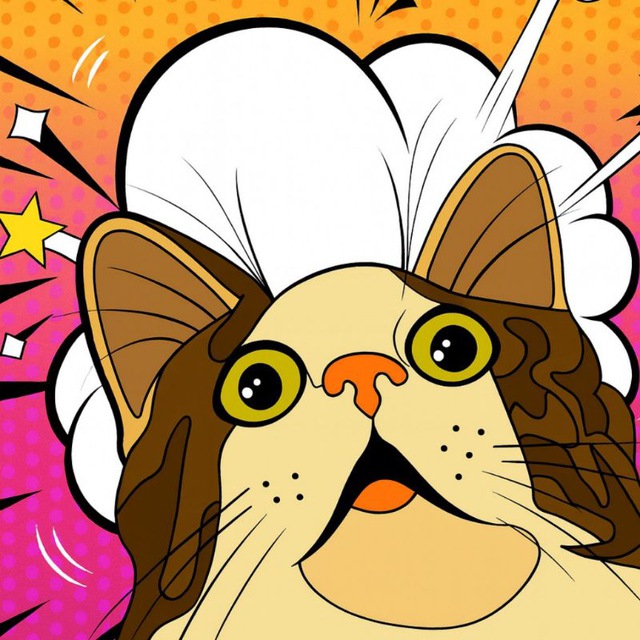 CAT’S STORY | Котики 🐈