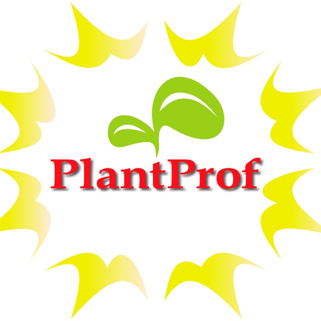 Питомник растений PlantProf