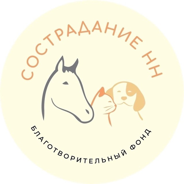 СостраданиеНН🐾