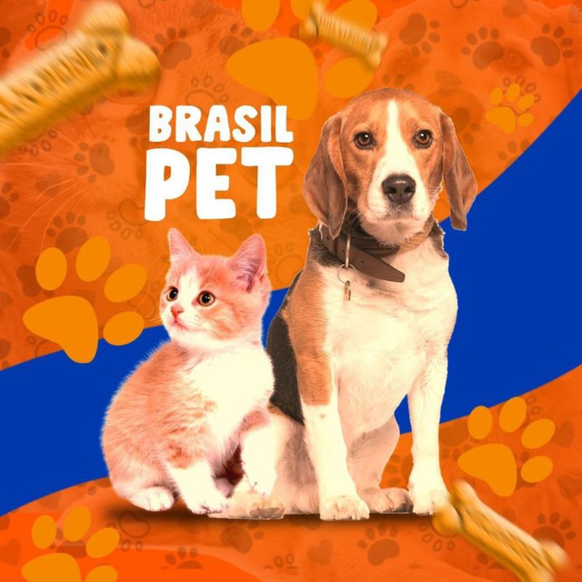 BRASIL PET 🐶🐱