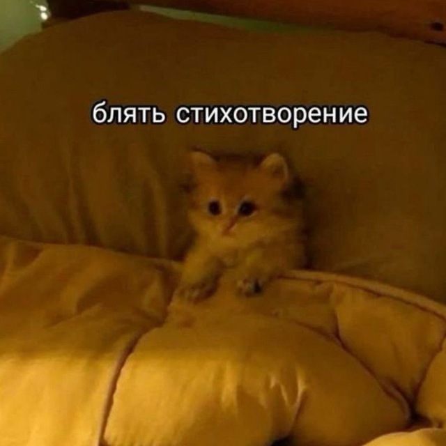 𝐂ᴏᴍᴍɪssᴀʀɪᴀᴛ. [18+]