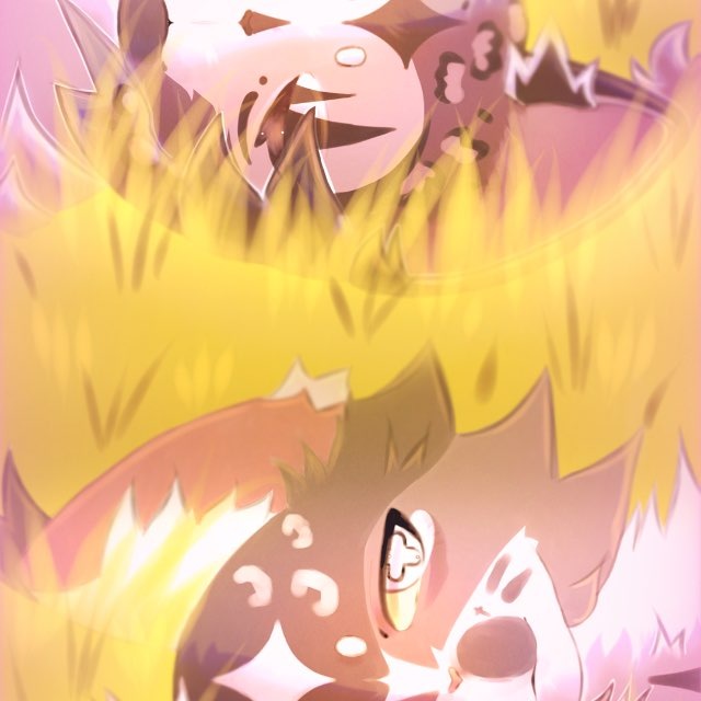 Ⲇⲟʀⲟⲋⲏ Ⲕⲟⲛⲧⲓⲕ