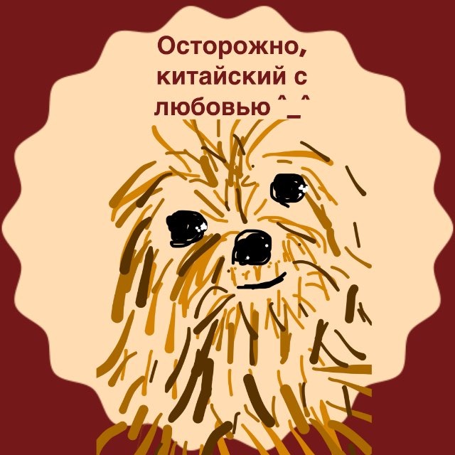 Осторожно, китайский с любовью от 金华老师❤️