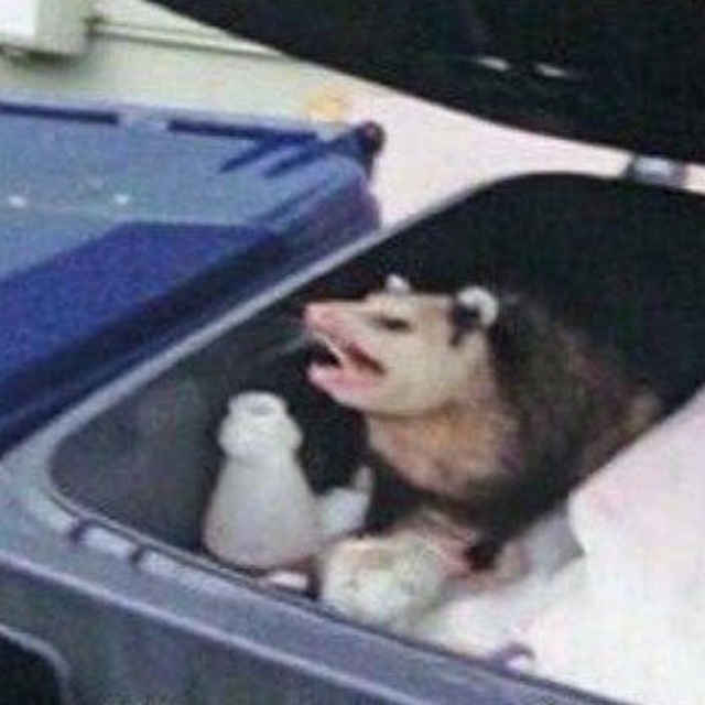 Филиппинская свалка🦝
