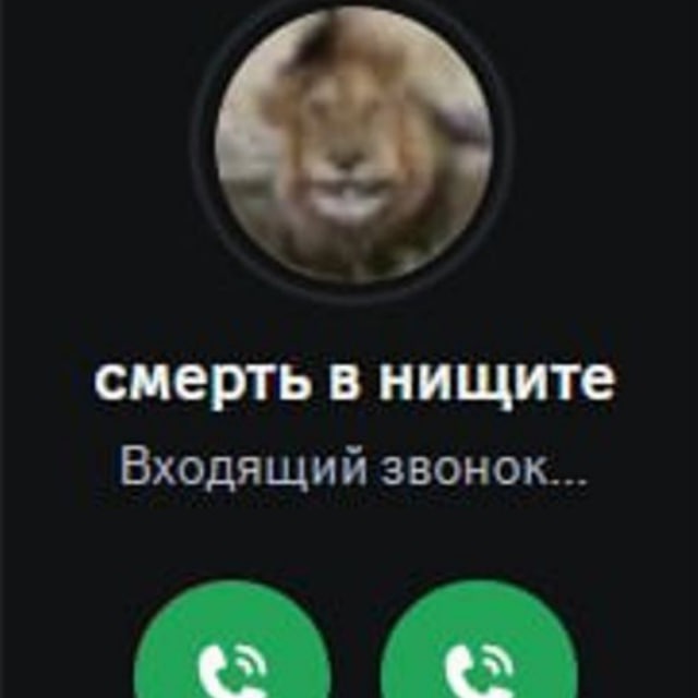 4Lw4YsB3L1eV3「16+」