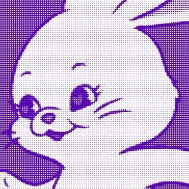 bunny’s room 🐰