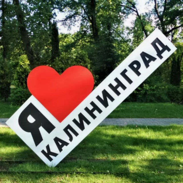 Новости Калининграда