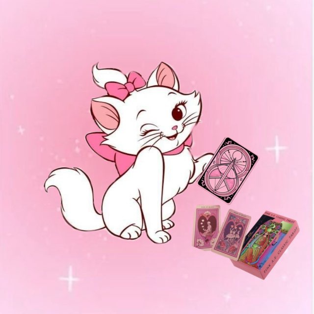 kisa.taro