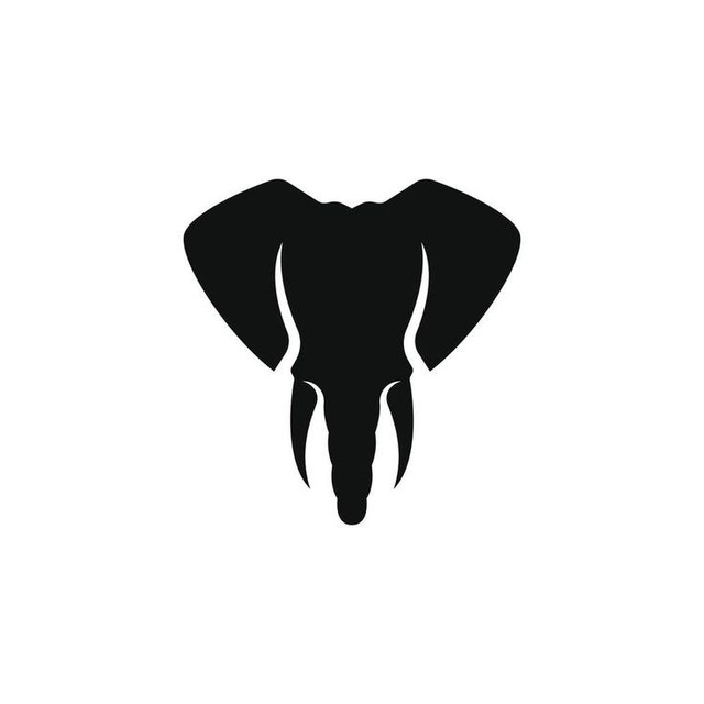 Crypto Slony