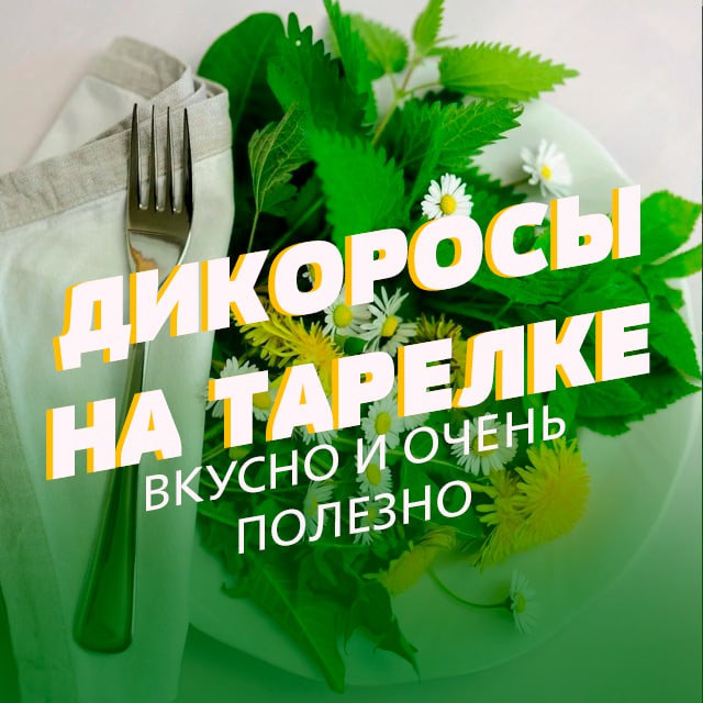 Дикоросы на тарелке🌿