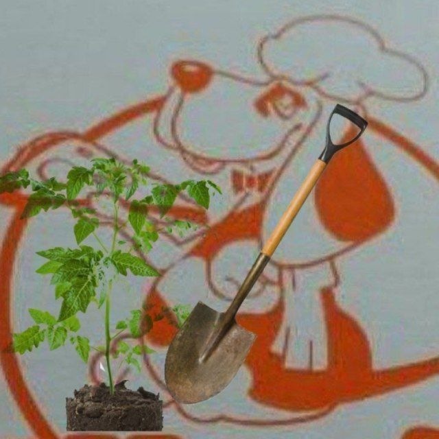 Someone's Garden [РЕСТ]