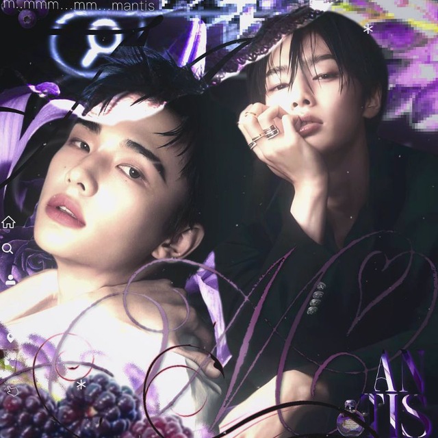 𝙈𝘼𝙉𝙏𝙄𝙎 𝙄𝙉𝙁𝙊🍇