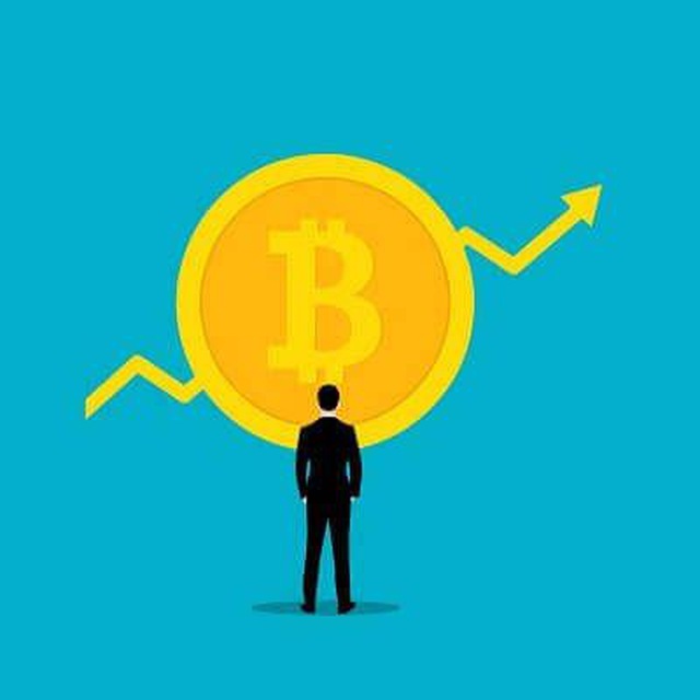 Análise de criptomoeda 🇧🇷