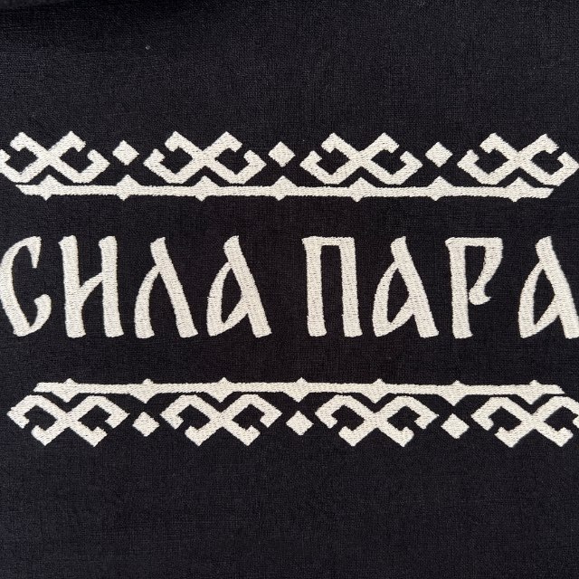 СИЛА ПАРА