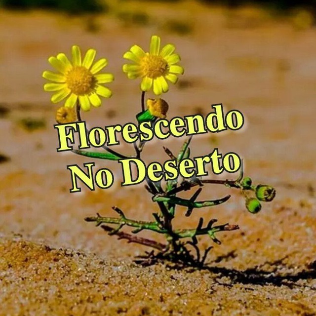 🌺🍃𝐅𝐥𝐨𝐫𝐞𝐬𝐜𝐞𝐧𝐝𝐨 𝐍𝐨 𝐃𝐞𝐬𝐞𝐫𝐭𝐨🌼🍃