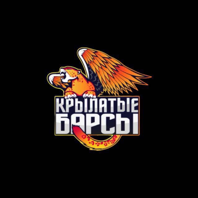 ЖБК «Крылатые Барсы»
