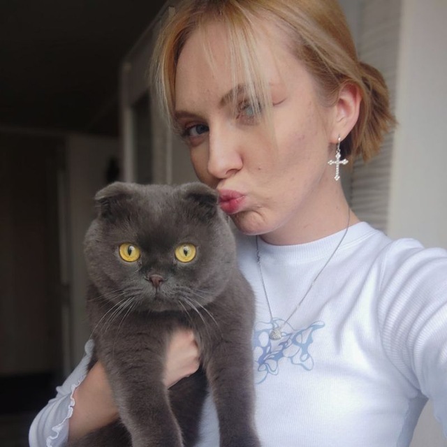 кошаки и креативити