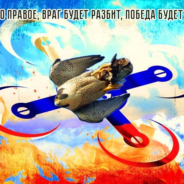 🦅 САПСАН ZOV БПЛА