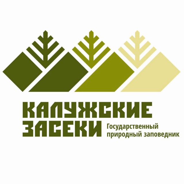 заповедник "Калужские засеки"