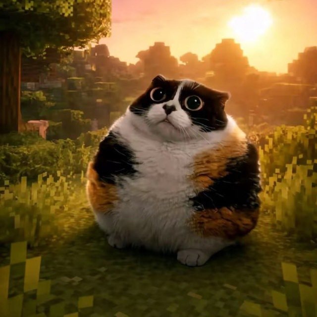 𝐒𝐌𝐀𝐒𝐇