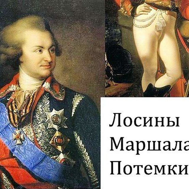 Лосины Маршала Потемкина